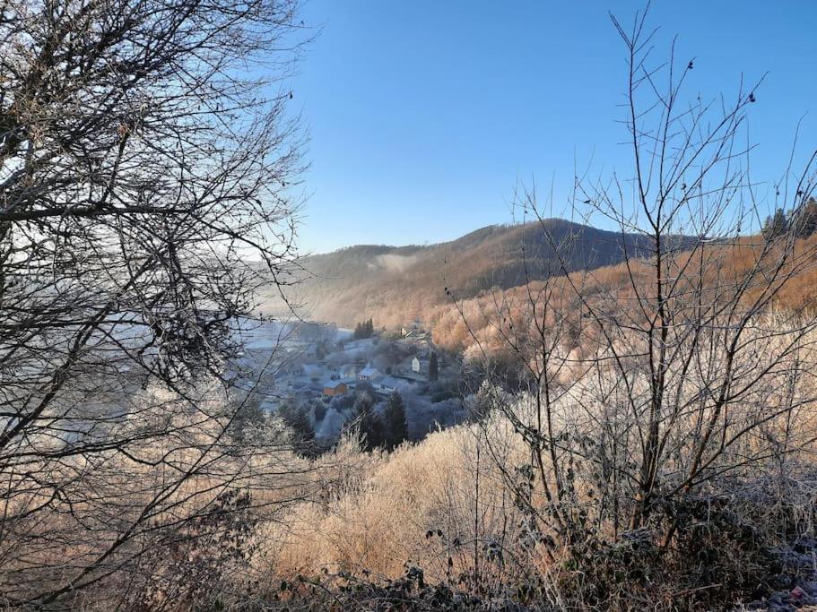 Chalet A L'Oree Du Bois Avec Parking Tournavaux Eksteriør billede