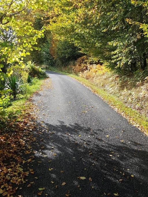 Chalet A L'Oree Du Bois Avec Parking Tournavaux Eksteriør billede